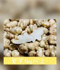 菊芋　農薬不使用　きくいも　道の駅　化学肥料不使用　自然栽培