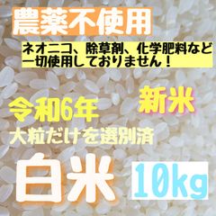 さくらの白米【大粒だけを選別】農薬不使用  ヒノヒカリ   大粒 白米  10kg