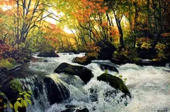 2025年最新】奥入瀬渓流の人気アイテム - メルカリ