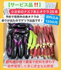 【完売中の赤オクラに余りが出ました‼️】小さめナス7本とオクラ25本セット