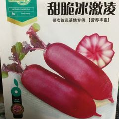 中国水果萝卜 甜脆冰淇凌 大根の種 50粒 ビタミン
