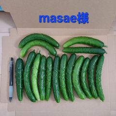 masae様