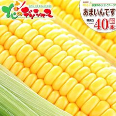 【予約/8月中旬(8月15日)頃～出荷予定】北海道 南幌町産 あまいんです 40本入り とうもろこし 朝採り 甘い トウモロコシ スイートコーン とうきび 野菜 ギフト 贈り物 お祝い 内祝い プレゼント ご家庭用 北海道 グルメ お取り寄せ