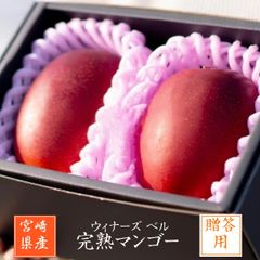 マンゴー 【ウィナーズベル】 完熟マンゴー 贈答用 3L 2個  宮崎県宮崎市 《5/上～5/中より出荷》