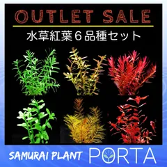 水草4点セット(メルカリ便) - メルカリ