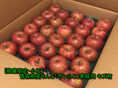 【数量限定・小玉】青森県産りんご「サンふじ」家庭用 キズ有 約5kg【美味・光センサー選果済】