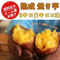 【月間販売数 3000袋突破！！】 千葉県産 熟成 焼き芋 5kg 無添加 国産 紅はるか シルクスイート 冷凍 さつまいも 焼芋 干し芋 好きに ダイエット クール便 マイファーマーズ
