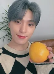 SEVENTEEN 2021 SEVENTEEN'S HOME DINO トレーディングカード 0053