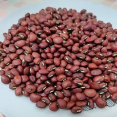 ささげ豆 300g 千葉県産