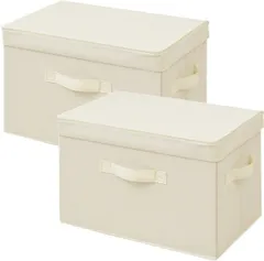 【在庫セール】2個組 アイボリー 完成品 カラーボックス対応 YTCF-2PF(IV) 取っ手付き 幅38×奥行25×高さ25cm 収納ボックス ふた付き [山善]