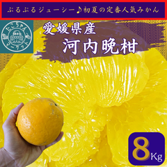 【予約販売】人気の晩柑★愛媛県産　河内晩柑（宇和ゴールド、美生柑）　8Kg