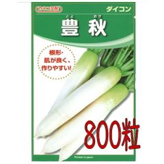 カネコ種苗　豊秋　大根　８００粒