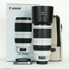 [フィルター付] Canon EF100-400mm F4.5-5.6L IS II USM / キヤノンEFマウント / フルサイズ