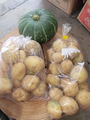 落札初めての方用　野菜セット