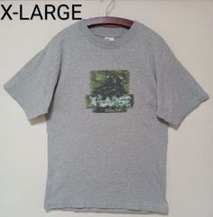X-LARGEエクストララージTシャツ半袖デジタル加工プリントグレーサイズMediumメンズM