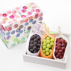 シャインマスカット　クイーンルージュ®　種なし巨峰　長野県産　各1房　計3房　約1.5kg 　産地直送　贈答用のサムネイル