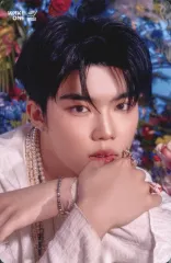 【中古】コレクションカード(男性) ZEROBASEONE/パク・ゴヌク(Park Gun Wook)/CD「ゆらゆら -運命の花-」タワーレコード特典フォトカード