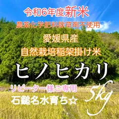 2025年最新】天日 玄米の人気アイテム - メルカリ 