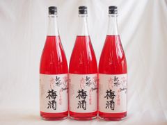 琉球泡盛 安室 赤 720ml 安室奈美恵 - メルカリ