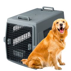 Item thumbnail for item 321019cf-4bfc-4e92-877e-52397047f387