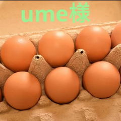 ume様専用 訳あり卵30個