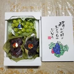くだもの大国岡山「シャイン・ピオーネ」2キロ箱