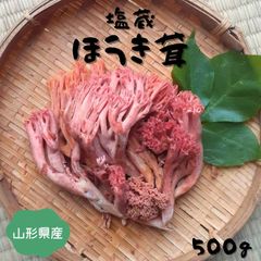 国産 天然 きのこ ほうきたけ 箒茸 塩漬け 塩蔵きのこ 500g 山形県産 令和6年産 2024年産