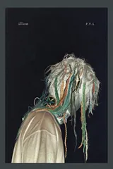 2025年最新】P.Y.L [ illion ]の人気アイテム - メルカリ