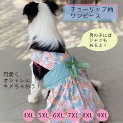 ♡ハンドメイド犬服 ワンピース パネル犬服 可愛い うさぎ柄 1点物