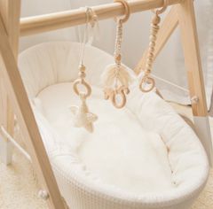 Woodenbaby gym