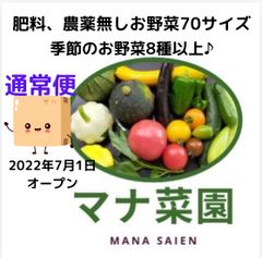 マナ菜園🥗農薬、化学肥料不使用。お野菜詰め合わせ70サイズ♪通常便🥗