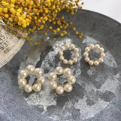 【スワロフスキー】クリスタルパール ✼ サークルピアス