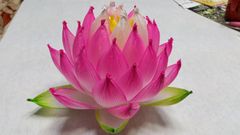 蓮の花の紙83 8色　24個　蓮の紙　韓紙　ハスの花　韓国 蓮の花の紙 8色 16個 蓮の紙 韓紙 ハスの花 韓国 蓮紙 ハスの紙