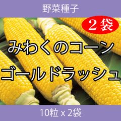野菜種子 ECR みわくのコーン ゴールドラッシュ 10粒 x 2袋