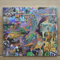 輸入盤CD☆ポール・マッカートニー/Paul McCartney□ Flaming