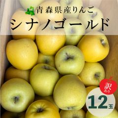 【新物訳あり】青森県産りんご（シナノゴールド）12玉（サイズ混合）　2Kg以上