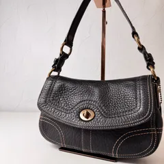 ✨Bランク　  COACH　ワンショルダーバッグ　ハンドバッグ　アクセサリーポーチ　bag　ターンロック　チェルシー　レザー　ブラック　「54EL」