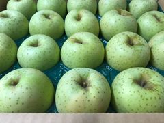 青森県産りんご「王林」家庭用 キズ有 約5kg【甘い】