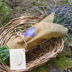 ラベンダー生花・切り花　おかむらさき　1束(300g+50g)　（クールメルカリ便）