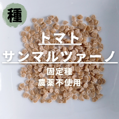 【種】トマト　サンマルツァーノ　農薬不使用　15粒