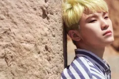 【中古】ポストカード [単品] ウジ(SEVENTEEN) ポストカード 「CD Al1」 封入特典