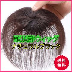 頭頂部 ウィッグ ブラック 部分かつら 自然 簡単 つけ毛 メンズ
