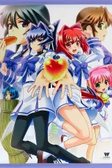 【中古】タペストリー 集合 B2タペストリー 「Switchソフト Muv-Luv(マブラヴ) 20th Odyssey Box」 メロンブックス購入特典