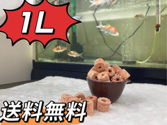 ろ材　濾過材　濾過フィルター　水質浄化抜群高品質多孔溶岩石パワーリング1L