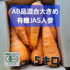 値下げセール中❗有機JAS人参　大きめ５キロ