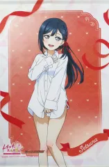 【中古】タペストリー 優木せつ菜 描きおろしB2タペストリー 「Switchソフト ラブライブ! 虹ヶ咲学園スクールアイドル同好会 トキメキの未来地図」 ゲーマーズ購入特典