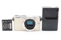 ★極上品★パナソニック Panasonic  LUMIX DMC-GM1ボディ #2694W06002#034