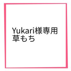 Yukari様専用　草もち