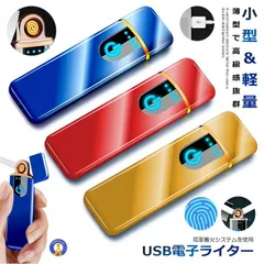 電子ライター USB 防風 プラズマライター ガスオイル不要 近未来 タッチスイッチ 安全着火 プレゼント USB充電 ターボライター 両面着火 DERAI ネコポス