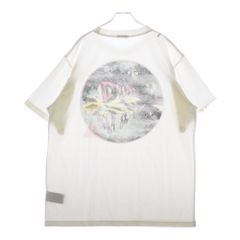 DIOR (ディオール) 23AW アステロディオール プリント半袖Tシャツ カットソー ホワイト 393J696D0817